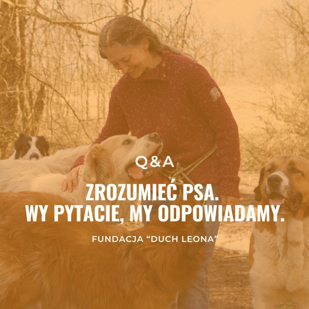 Zrozumieć psa. Wy pytacie, my odpowiadamy. 2026.04 (Nagranie)